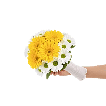 Blossom Harmony Display