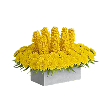 Radiant Bloom Cascade