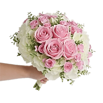 Blushing Rose Symphony