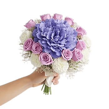 Pastel Pink Roses