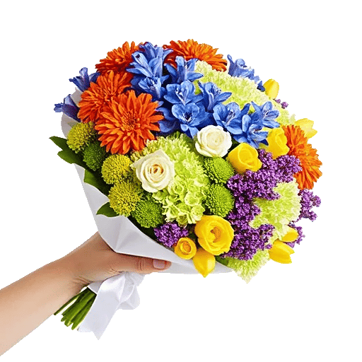 Vibrant Orange Delight