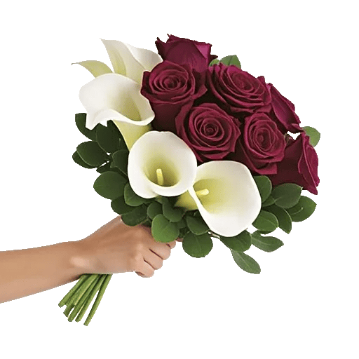 Elegant Calla Lilies