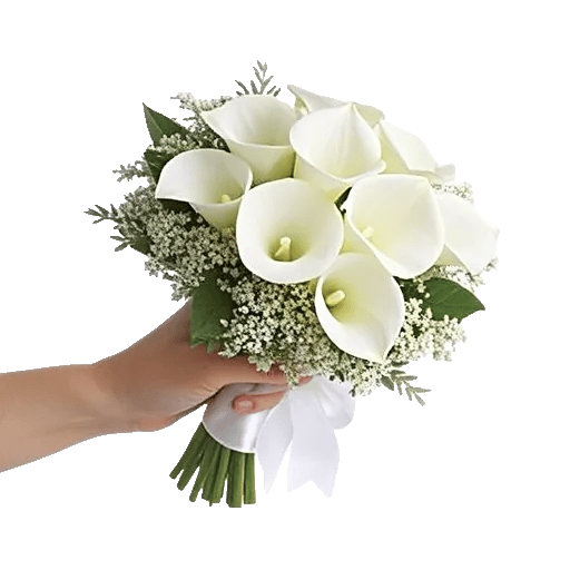 Elegant Calla Lilies