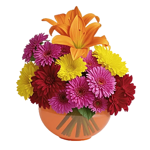 Petal Radiance Bliss