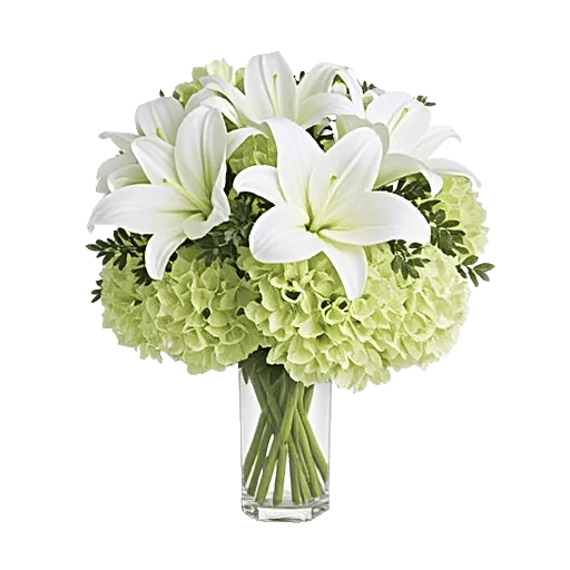 Ivory Blossom Radiance