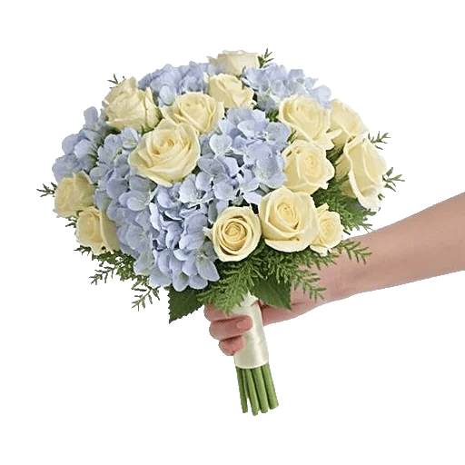 Serene Petal Harmony