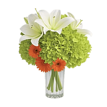 Graceful Lily Display