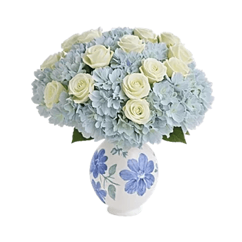 Serene Petal Harmony