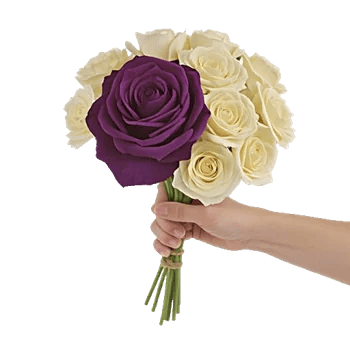 Blushing Rose Symphony