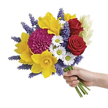 Petal Harmony Bliss