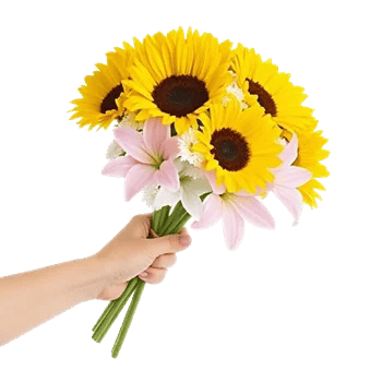 Twinkling Sunflower Dance