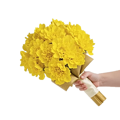 Golden Petal Harmony