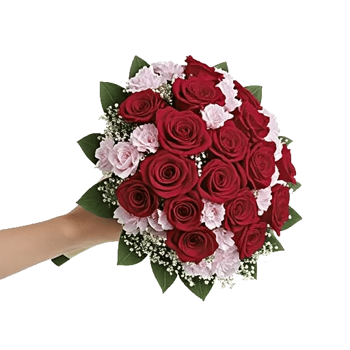 Crimson Rose Elegance