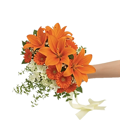 Blossom Glow Symphony