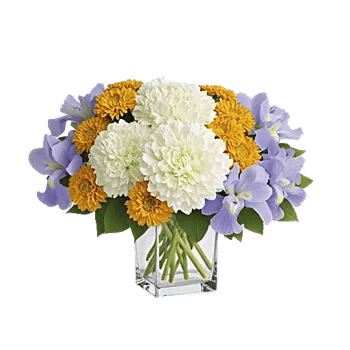 Ivory Blossom Radiance