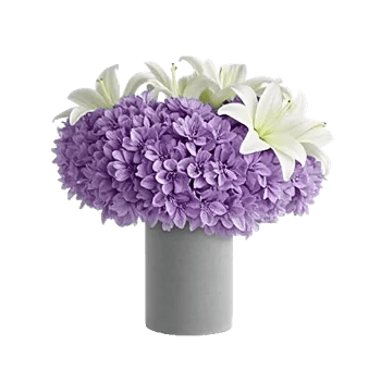 Ivory Blossom Radiance