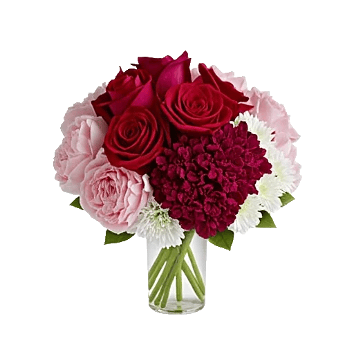 Crimson Blossom Harmony