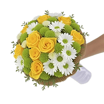 Blushing Rose Symphony