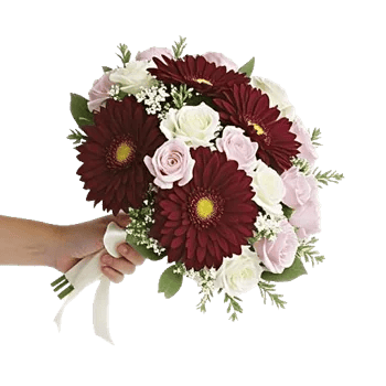 Blushing Rose Symphony