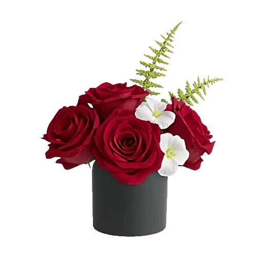 Crimson Blossom Harmony