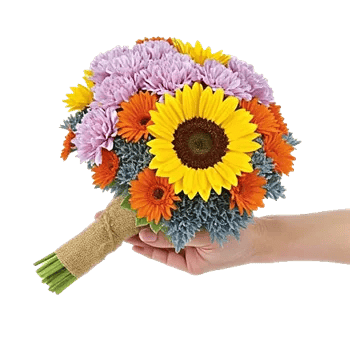 Blushing Rose Symphony