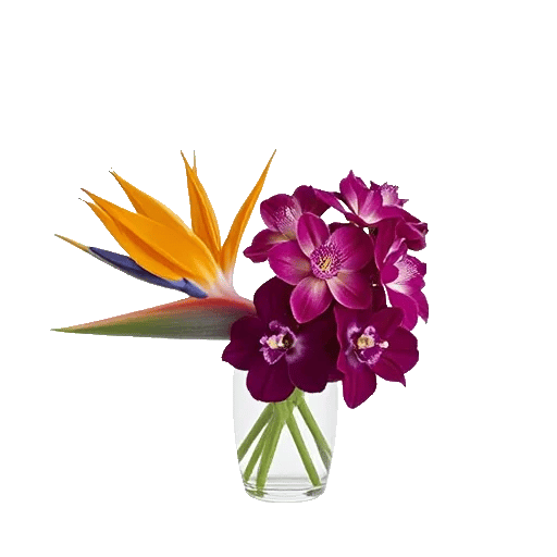 Orchid Bloom Cascade