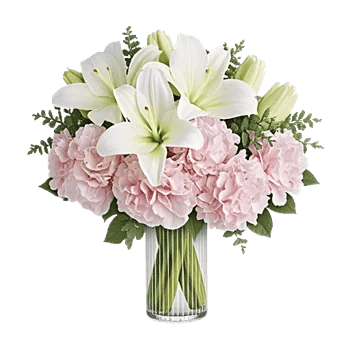 Ivory Blossom Radiance