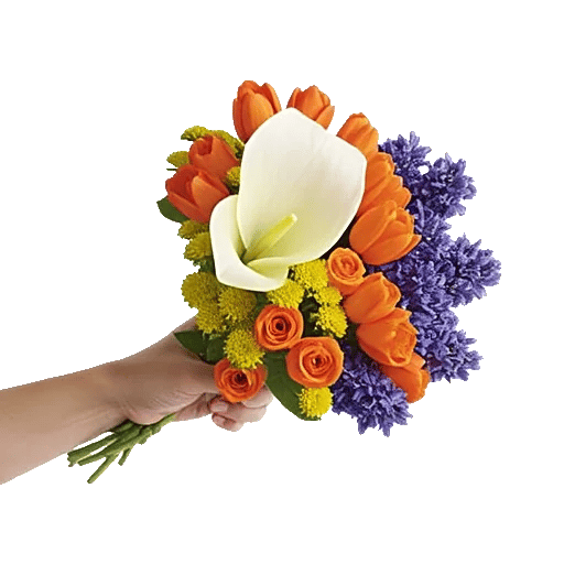 Elegant Calla Lilies