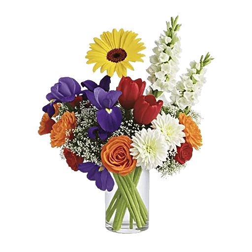 Petal Radiance Bliss