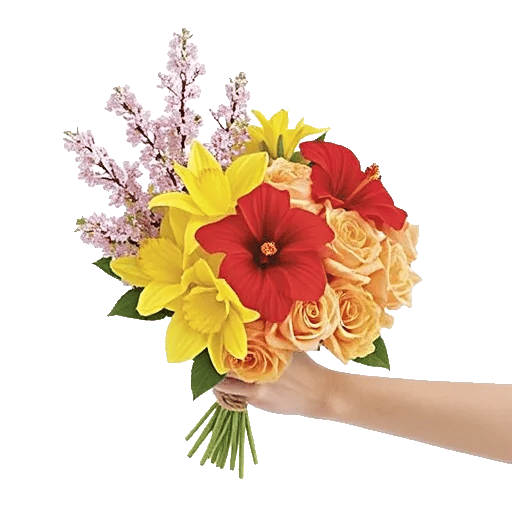 Blossom Harmony Display