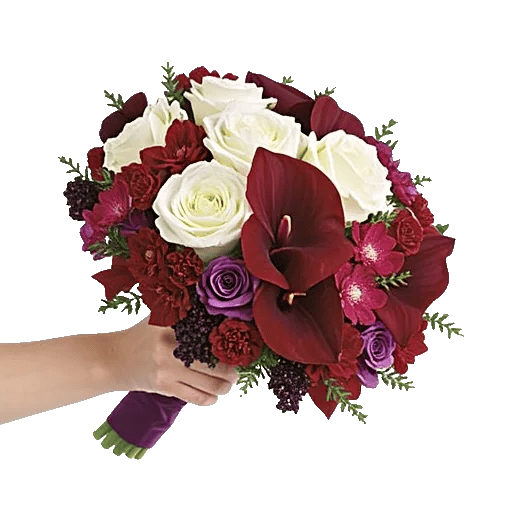 Elegant Calla Lilies