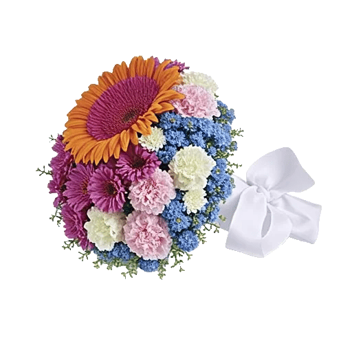 Petal Radiance Bliss