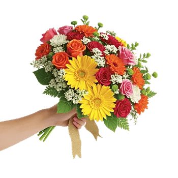 Petal Harmony Bliss