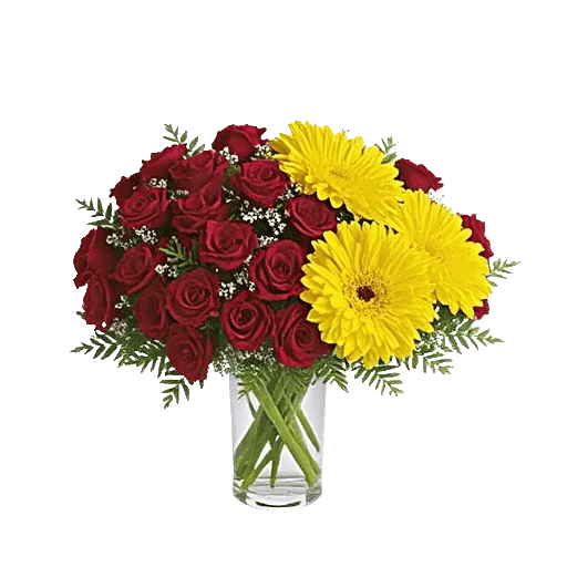 Petal Radiance Bliss