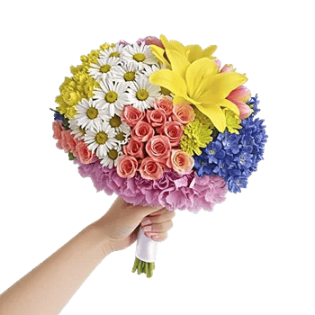 Blossom Petal Serenity