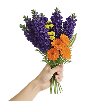 Lavender Bloom Grace