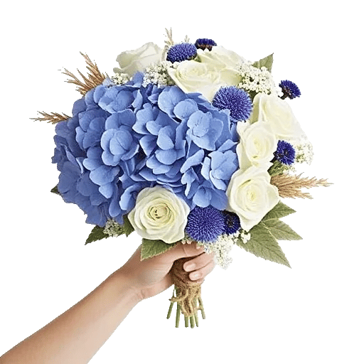 Serene Petal Harmony