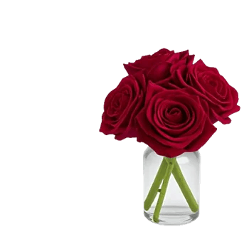 Crimson Rose Elegance