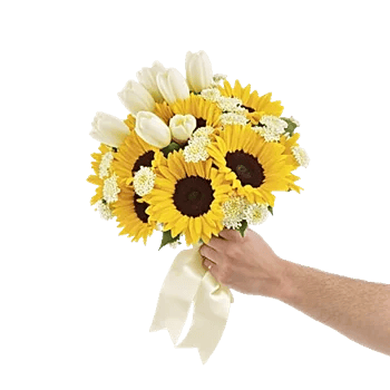 Ivory Blossom Radiance