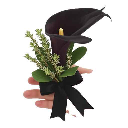 Elegant Calla Lilies