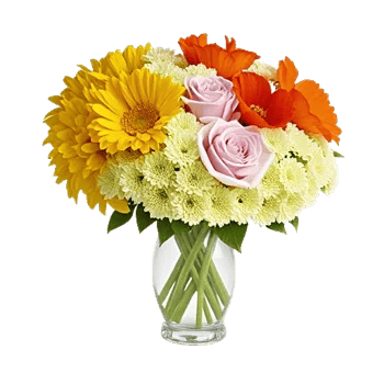Petal Radiance Bliss