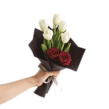 Velvet Tulip Display