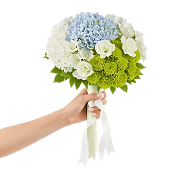 Serene Petal Harmony