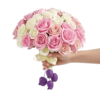 Petal Grace Harmony