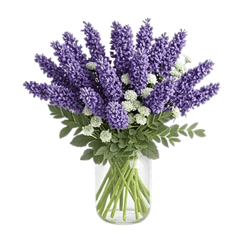 Lavender Bloom Grace