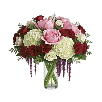 Petal Radiance Bliss