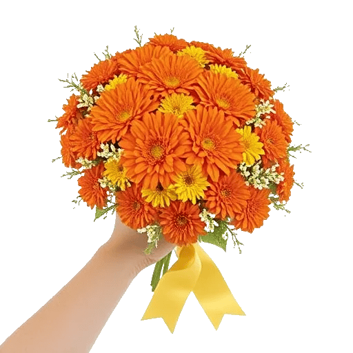 Vibrant Orange Delight