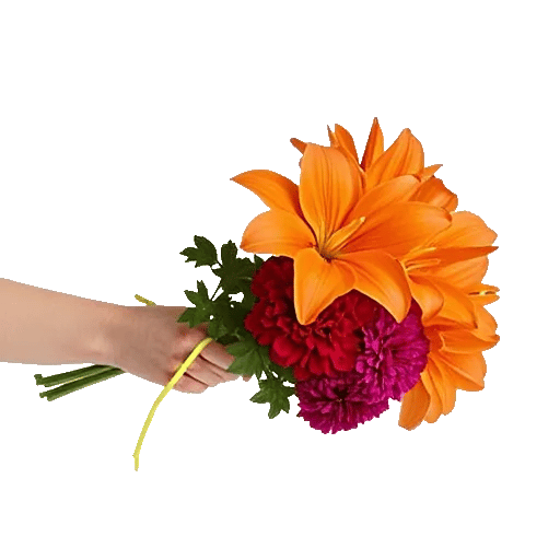 Petal Harmony Bliss