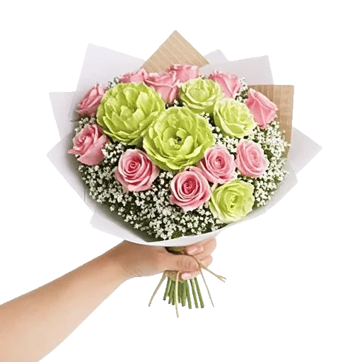 Serene Petal Harmony