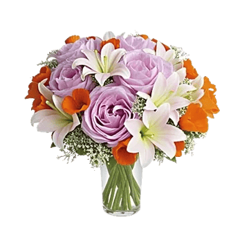 Peony Petal Harmony